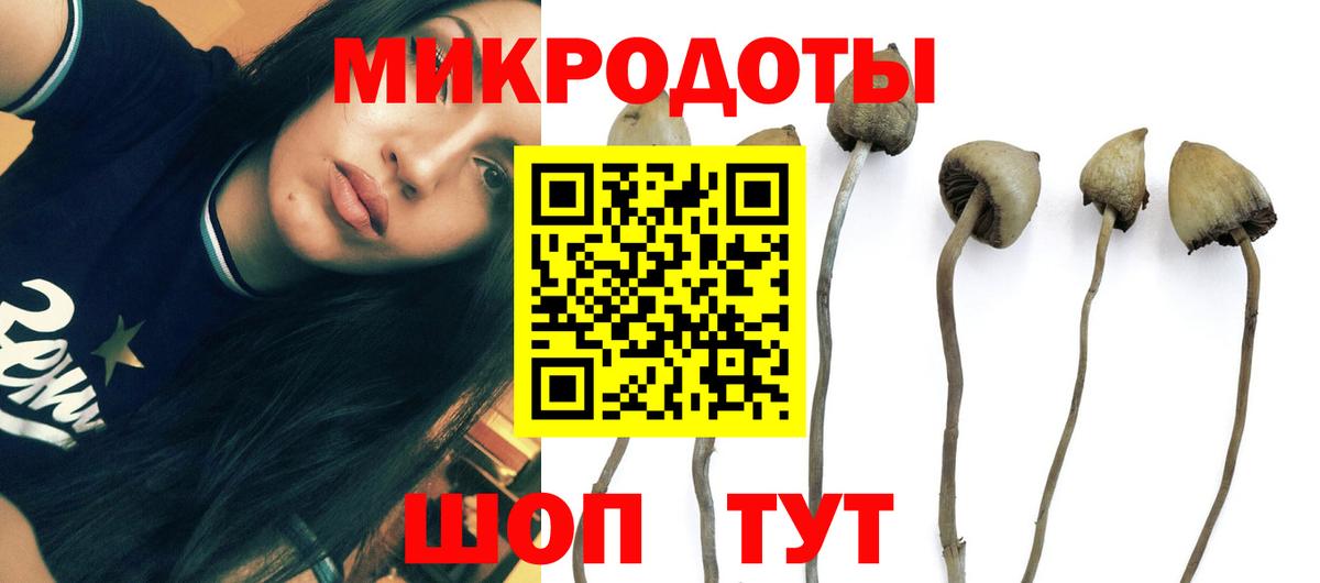 Лосино-Петровский  Галлюциногенные грибы прущие грибы  где купить наркоту  Вход с VPN  Галлюциногенные грибы GOLDEN TEACHER 
