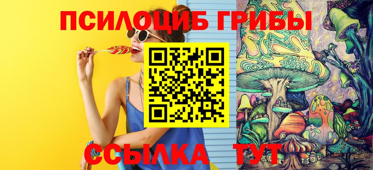 Псилоцибиновые грибы Psilocybe Лосино-Петровский